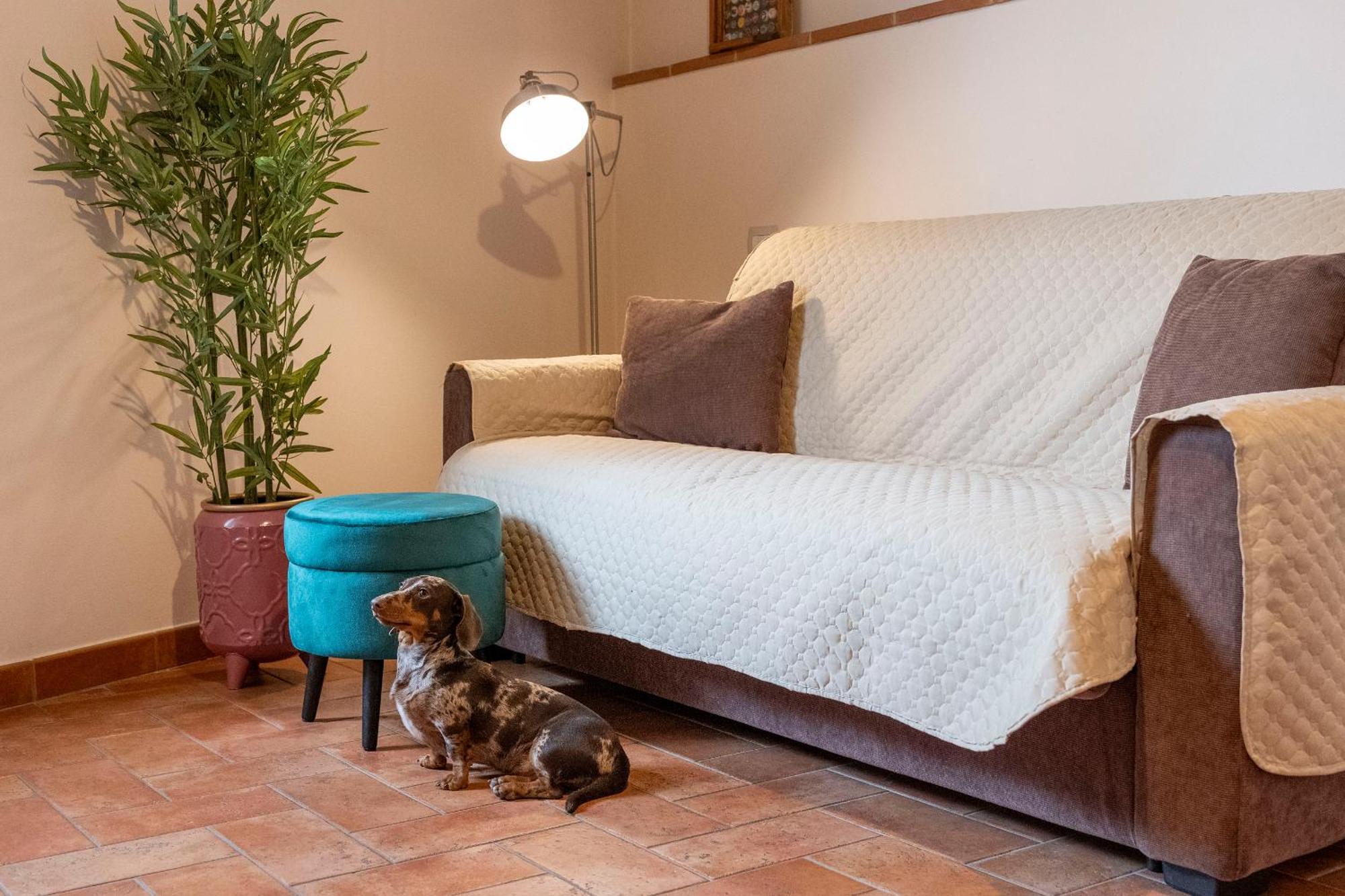 Miva Di Piu Casa Holiday home