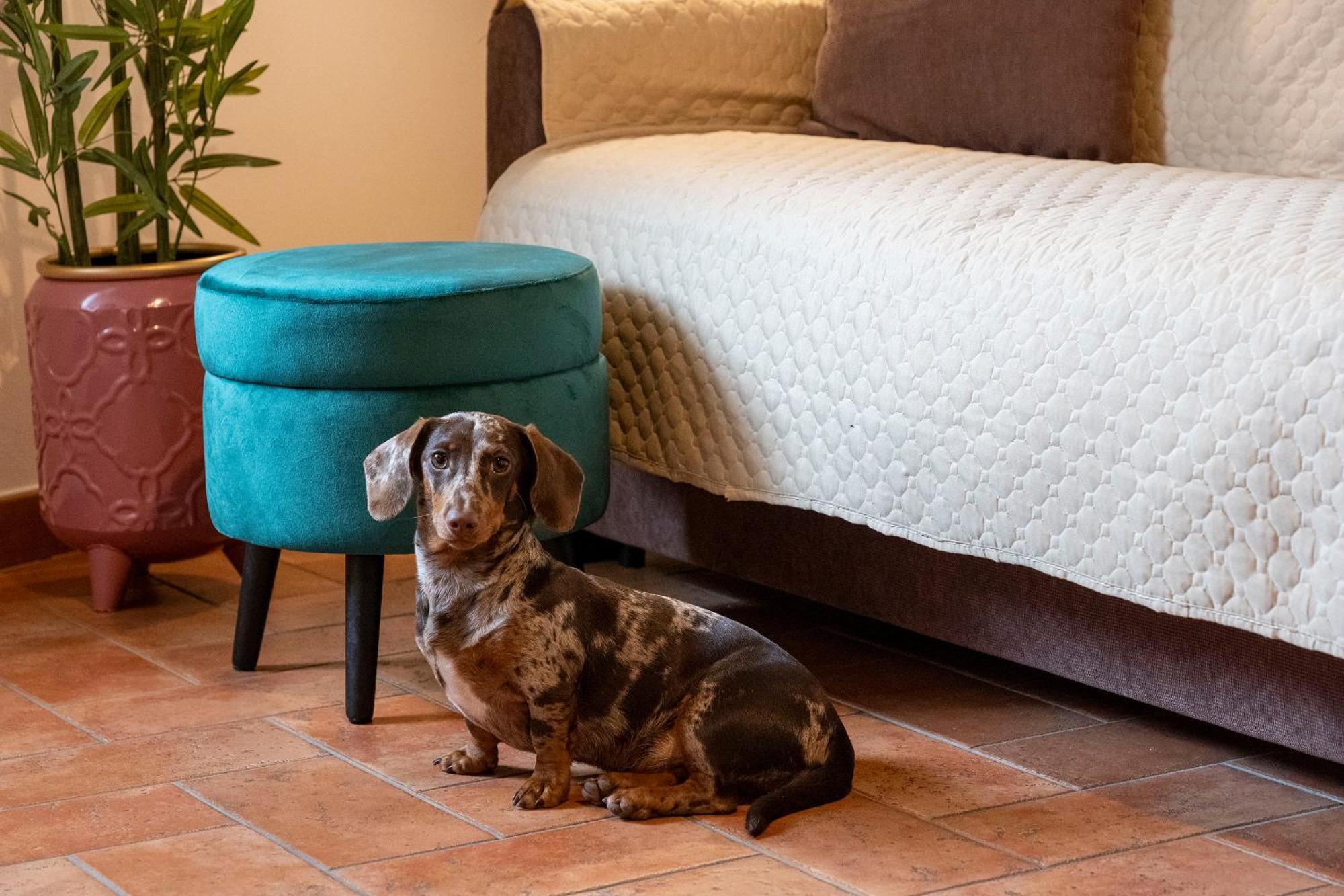 Miva Di Piu Casa Holiday home Arezzo